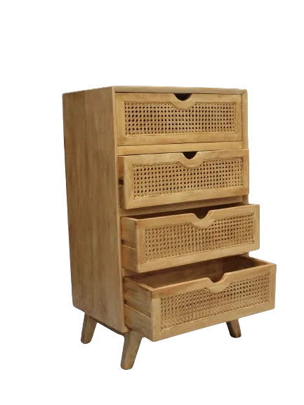 SARI Cabinet