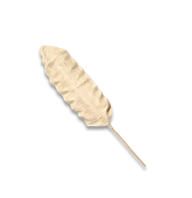 NUSA Decor Stick