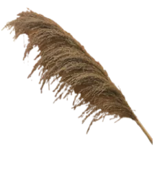WIDURI Decor Stick