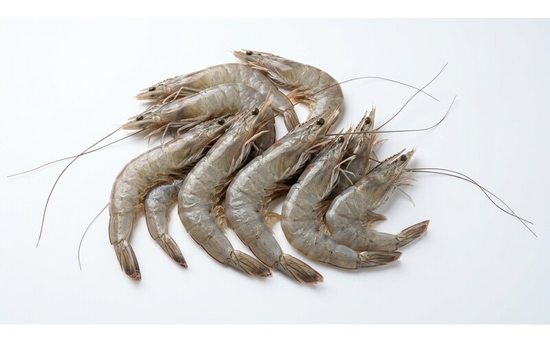 Vannamei Shrimp